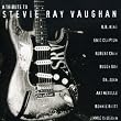 A Tribute to Stevie Ray Vaughan