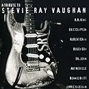 A Tribute To Stevie Ray Vaughan