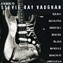 A Tribute to Stevie Ray Vaughan