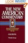 The New American Commentary Volume 30  - Galatians