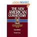 The New American Commentary Volume 30  - Galatians