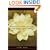 Advanced Chakra Healing