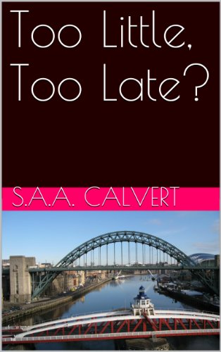 Too Little, Too Late? (Sussex Border Stories Book 7)