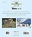 Cloud: Wild Stallion of the Rockies, Revised and Updated