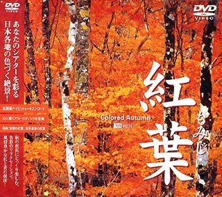 �g�t ���݂� [DVD]