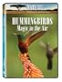 Nature: Hummingbirds