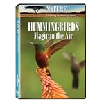 Nature: Hummingbirds