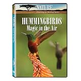 Nature: Hummingbirds