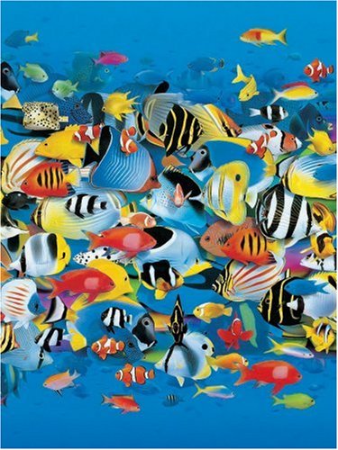 Childrens Toyshop  Toys : Rush Hour