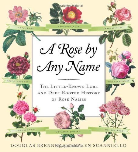A Rose by Any Name: The Little-Known Lore and Deep-Rooted History of Rose Names
