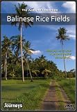 Fitness Journeys - Balinese Rice Fields