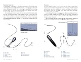 picture of Sea Fishing (River Cottage Handbook)