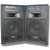 Pair of 12