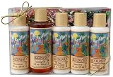 Gift Set - Includes Five - 4 oz. Natural Sun Protection Lotions - Moisturizer - Tanning Oil - SPF 4 - SPF 8 - SPF 15 - Great Gift Idea for Any Occasion - Birthday for Sale