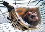 Savic Savic Relax Deluxe Tube - Fake Fur