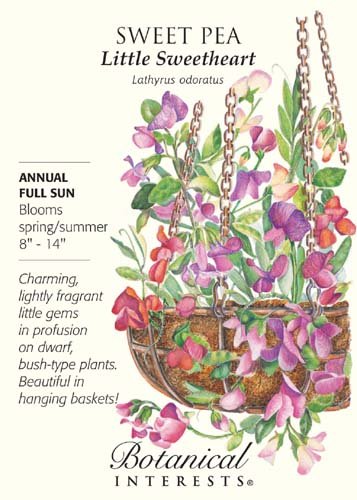 Image #1 of Little Sweetheart Sweet