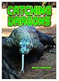 Catching dragons