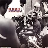 A Black Man`s Soul: The Ike Turner Diaries