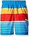 Kanu Surf Boys' Viper Stripe Swim Trunk