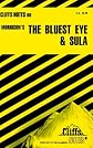 CliffsNotes on Morrison's The Bluest Eye and Sula