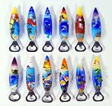 Wholesale Package Handpainted Surfboard Beer Bottle Opener With Refrigerator Magnet: Parrot Dolphin Palm Tree Light House Mermaid Tropical Fish Sea Turtle Manatee (Set Of 12)