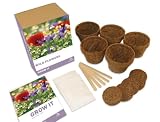 Grow it - Wild Flowers Gift Set