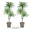 Two 6' Dracaena Tripled Artificial Palm Tres Silk Plants, with No Pot,