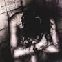 Through the Paths of Insanity
