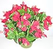 15" Potted Silk Hibiscus Bush