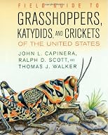 Field Guide To Grasshoppers, Katydids, And Crickets Of The United States
