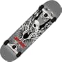 Birdhouse Silver Series Tony Hawk Wings Complete Skateboard