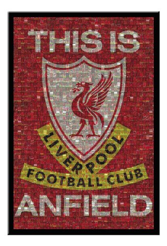 Liverpool FC Mosaic Poster Black Framed
