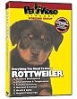 ROTTWEILER DVD! Everything You Should Know + Dog & Puppy Training Bonus
