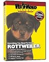 ROTTWEILER DVD! Everything You Should Know + Dog & Puppy Training Bonus