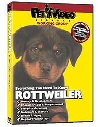 ROTTWEILER DVD! Everything You Should Know + Dog & Puppy Training Bonus