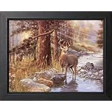Buck Deer Doe Lake Animal Wildlife Cabin Lodge Picture Framed Art Print by Art Prints Inc