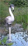 Flamingo white with pink tint