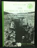 “The richest in all Wales” : the Welsh Potosi or Esgair Hir and Esgair Fraith lead and copper mines of Cardiganshire