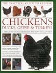 The Practical Guide to Keeping Chicke...