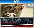Dark Days in Monkey City [HD]: Dark Days in Monkey City Season 1 [HD]