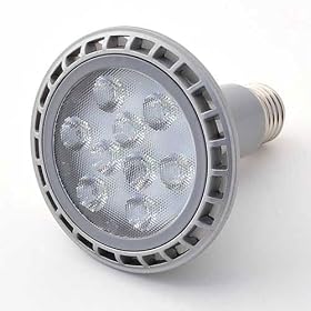Dimmable PAR30 9 Watt LED Spot Light Warm White E26, 1311WW