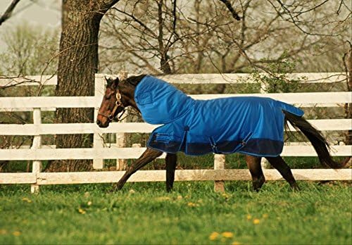 Turnout 1680D Horse Winter Waterproof with Neck Cover - Horse Blanket 002 - Size from 69" to 83"