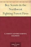 Boy Scouts in the Forest Fires