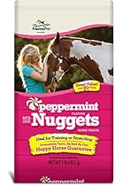 Manna Pro Trail Size Bite Size Nuggets, Peppermint, 1 Lb
