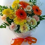 ���i�̏ڍ�