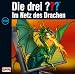 156/Im Netz Des Drachen