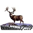 Upstream Images Walking Tall Color Widow Decal