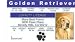 golden_retriever30golden retriever - Golden Retriever Loyalty Dog Collectors Card