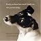 The Best Dog Books