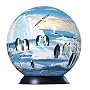 Penguin puzzleball